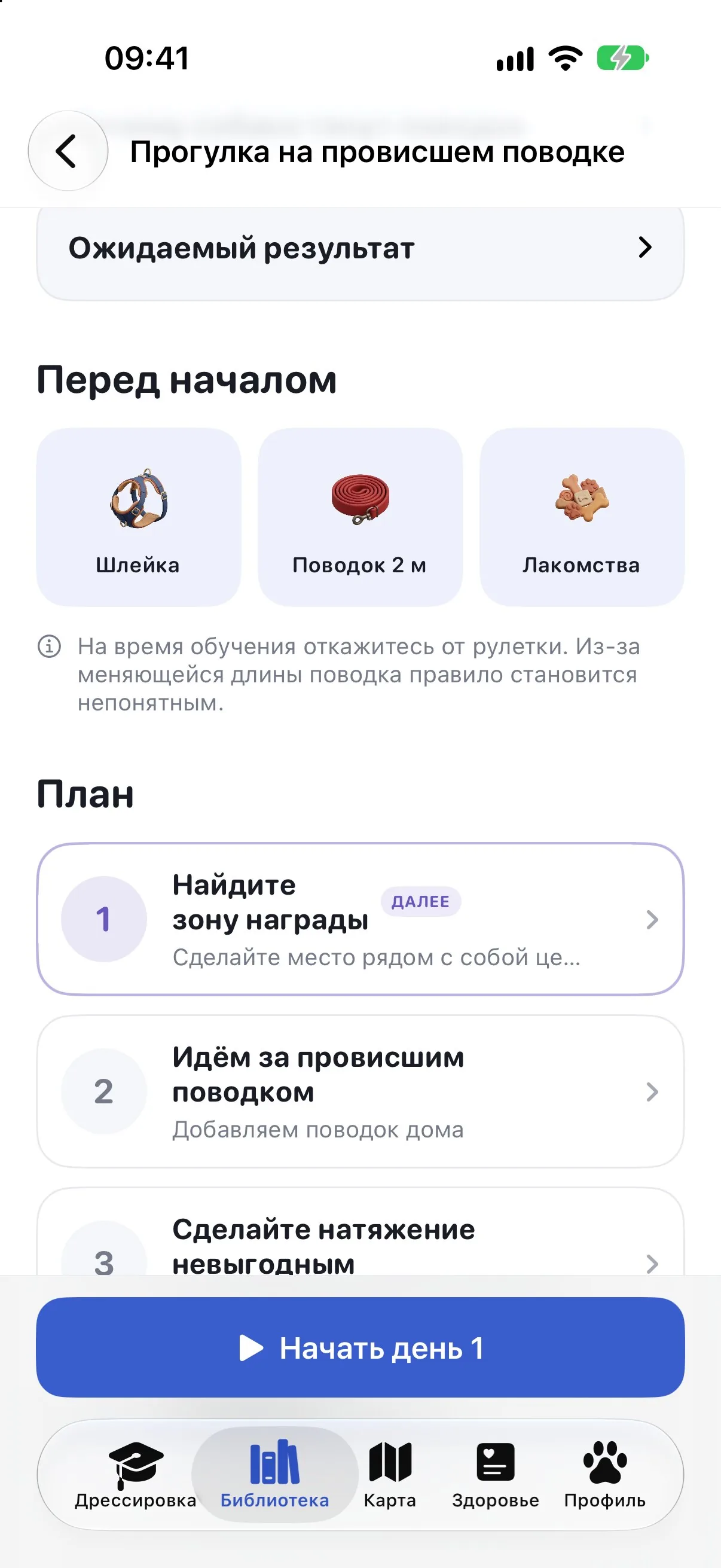 План «Прогулка на провисшем поводке» в Ruffy: нужное снаряжение и первые дни