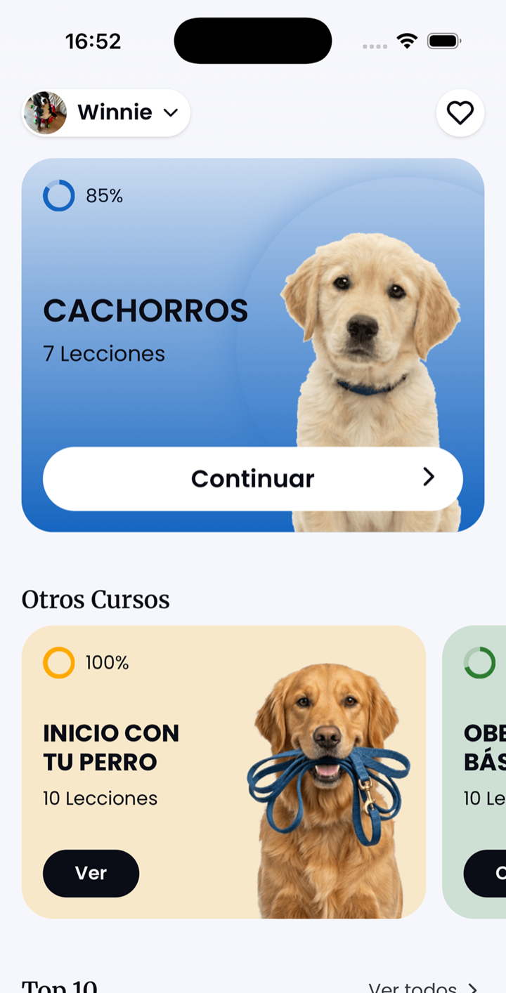 Adiestramiento canino fácil, desde casa