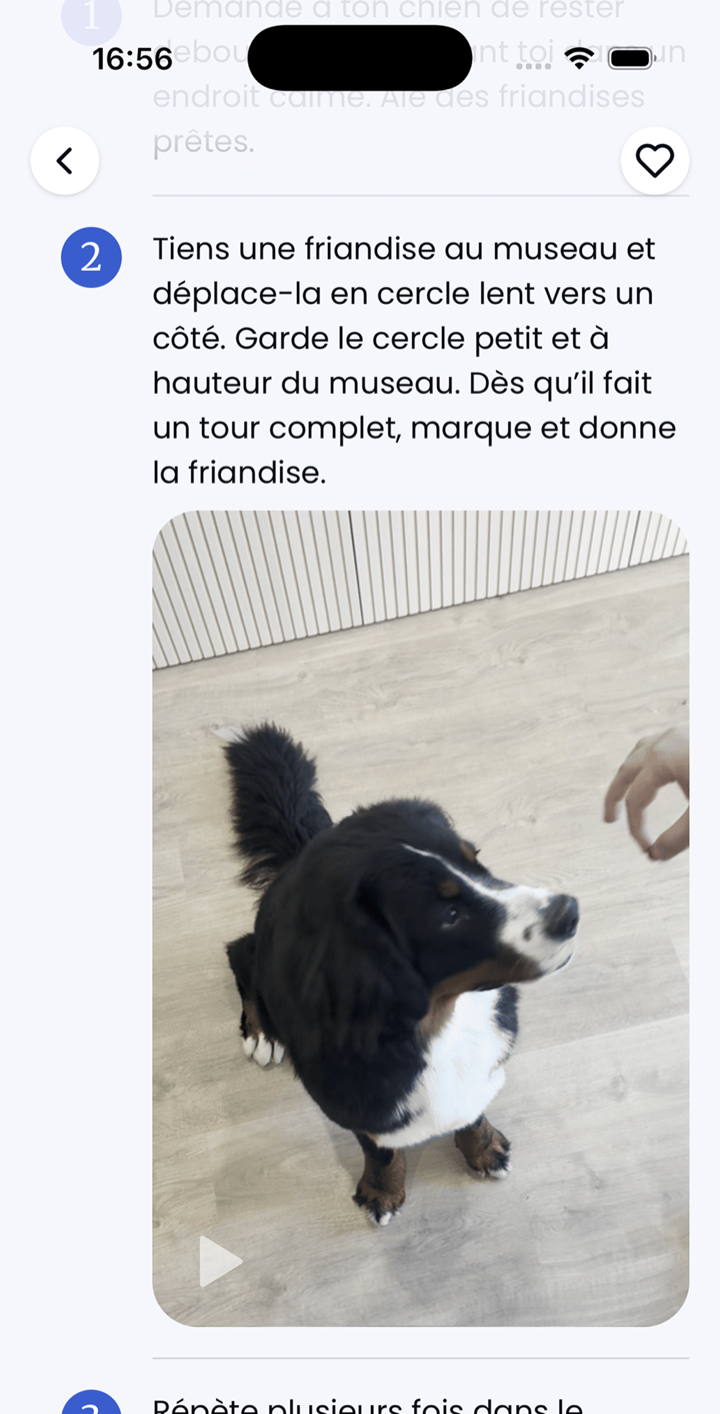 Écran de leçon Ruffy